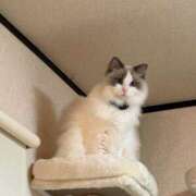 みか 出勤してます！ 西川口マーメイド