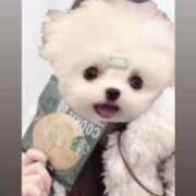 ヒメ日記 2025/03/24 23:27 投稿 ゆる 隙のあるエステ