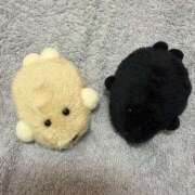 ヒメ日記 2025/12/09 00:31 投稿 ひびき 熟女の風俗最終章 本厚木店