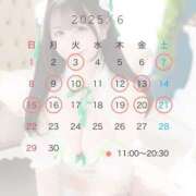 ヒメ日記 2025/05/19 20:05 投稿 きい コルドンブルー