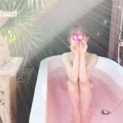 ヒメ日記 2025/04/26 15:04 投稿 なの（モデルクラス現役女子大生 ハニービー（Honey Bee）