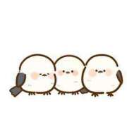 ヒメ日記 2025/04/26 16:45 投稿 みなみ ファッションヘルス カリスマ