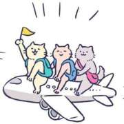 ヒメ日記 2025/05/17 15:44 投稿 みなみ ファッションヘルス カリスマ