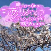 ヒメ日記 2025/04/17 20:16 投稿 新山紗栄子 五十路マダム愛されたい熟女たち 津山店