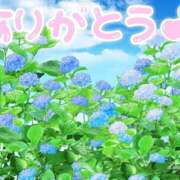 ヒメ日記 2025/06/07 02:50 投稿 新山紗栄子 五十路マダム愛されたい熟女たち 津山店