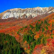 ヒメ日記 2025/11/07 15:12 投稿 新山紗栄子 五十路マダム愛されたい熟女たち 津山店