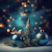 ヒメ日記 2025/12/28 04:44 投稿 新山紗栄子 五十路マダム愛されたい熟女たち 津山店