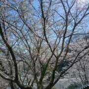 ヒメ日記 2026/04/06 20:08 投稿 新山紗栄子 五十路マダム愛されたい熟女たち 津山店