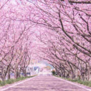 ヒメ日記 2026/04/11 12:00 投稿 新山紗栄子 五十路マダム愛されたい熟女たち 津山店