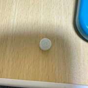 ヒメ日記 2025/03/11 05:21 投稿 にか マリン土浦本店