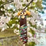 ヒメ日記 2025/04/10 13:21 投稿 にか マリン土浦本店