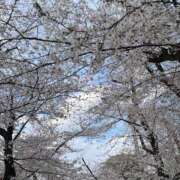 ヒメ日記 2025/04/05 20:34 投稿 もも シークレットタッチ