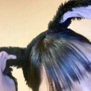 ヒメ日記 2025/09/05 20:29 投稿 すず G-SCANDAL