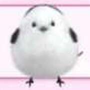 ヒメ日記 2025/05/22 12:21 投稿 このみ 艶姫（つやひめ）