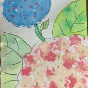 ヒメ日記 2025/07/31 23:15 投稿 このみ 艶姫（つやひめ）