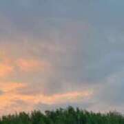 ヒメ日記 2025/08/16 05:58 投稿 このみ 艶姫（つやひめ）