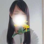 ヒメ日記 2025/08/20 17:48 投稿 このみ 艶姫（つやひめ）