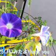 ヒメ日記 2025/08/26 12:06 投稿 このみ 艶姫（つやひめ）