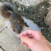 ヒメ日記 2025/11/02 19:37 投稿 このみ 艶姫（つやひめ）