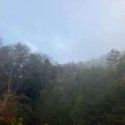 ヒメ日記 2025/12/30 09:53 投稿 このみ 艶姫（つやひめ）