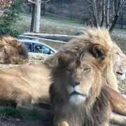 ヒメ日記 2026/01/02 20:29 投稿 このみ 艶姫（つやひめ）