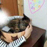 ヒメ日記 2026/01/22 11:46 投稿 このみ 艶姫（つやひめ）