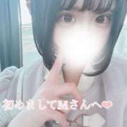 ヒメ日記 2025/03/31 16:45 投稿 やえ ムーランルージュ