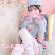 ヒメ日記 2025/04/19 16:44 投稿 やえ ムーランルージュ