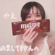 ヒメ日記 2025/06/24 12:16 投稿 やえ ムーランルージュ