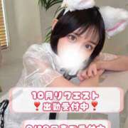 ヒメ日記 2025/09/14 07:56 投稿 やえ ムーランルージュ