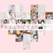 ヒメ日記 2025/11/09 19:01 投稿 やえ ムーランルージュ