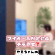 ヒメ日記 2025/11/17 12:45 投稿 やえ ムーランルージュ