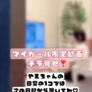 やえ ふわっと覗けるやえちゃんの日常🏡⋆* ムーランルージュ