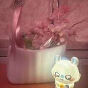 ヒメ日記 2026/02/15 08:15 投稿 やえ ムーランルージュ