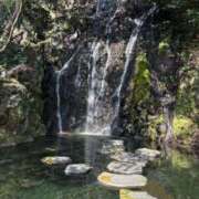 ヒメ日記 2026/02/20 08:30 投稿 やえ ムーランルージュ