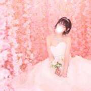 ヒメ日記 2026/03/23 06:46 投稿 やえ ムーランルージュ