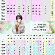 ヒメ日記 2026/04/14 07:51 投稿 やえ ムーランルージュ