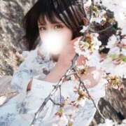 ヒメ日記 2026/04/15 16:30 投稿 やえ ムーランルージュ