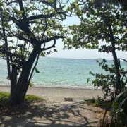 ヒメ日記 2026/04/16 10:02 投稿 やえ ムーランルージュ