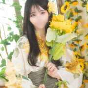ヒメ日記 2026/07/02 09:15 投稿 やえ ムーランルージュ