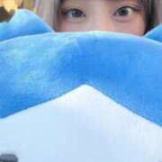 ヒメ日記 2025/03/13 12:29 投稿 芹沢みく Finemotion