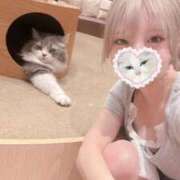 ヒメ日記 2025/04/24 13:54 投稿 芹沢みく Finemotion