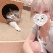 ヒメ日記 2025/09/25 00:23 投稿 芹沢みく Finemotion