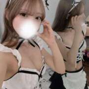 芹沢みく 残り1枠🕊 Finemotion