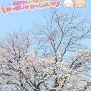 ヒメ日記 2025/03/28 11:34 投稿 北野もも 華女 第二章