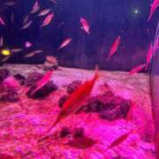 ヒメ日記 2025/07/30 09:38 投稿 れいな 熟女の風俗最終章 高崎店