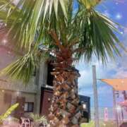 ヒメ日記 2025/08/17 10:09 投稿 れいな 熟女の風俗最終章 高崎店