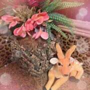 ヒメ日記 2025/09/17 17:39 投稿 れいな 熟女の風俗最終章 高崎店