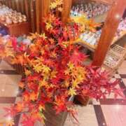 ヒメ日記 2025/11/13 19:00 投稿 れいな 熟女の風俗最終章 高崎店