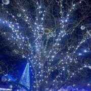 ヒメ日記 2025/12/15 00:18 投稿 れいな 熟女の風俗最終章 高崎店